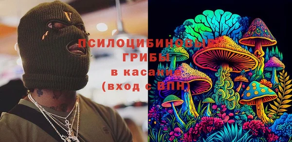 спиды Осинники