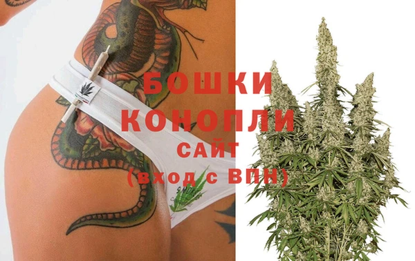 крисы Осташков