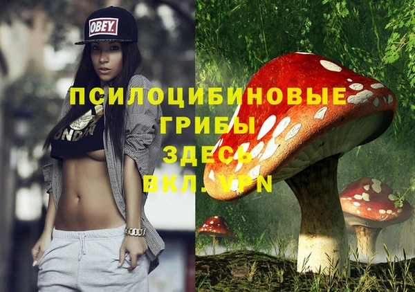 спиды Осинники