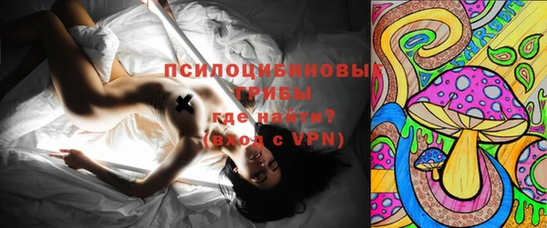 крисы Осташков