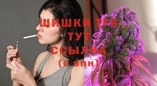 спиды Осинники