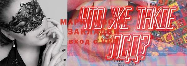 крисы Осташков