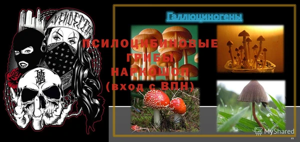 спиды Осинники