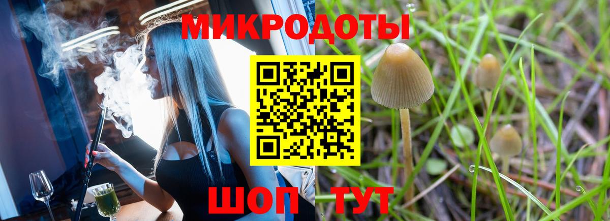 Псилоцибиновые грибы Cubensis  Вход с VPN  Сальск 